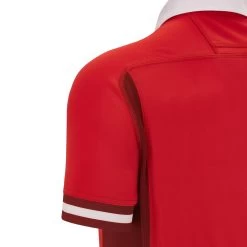 MACRON Wales Mens Rugby World Cup 2023 Home Rugby Shirt - Short Sleeve 12 MACRON Wales Mens Rugby World Cup 2023 Home Rugby Shirt - Short Sleeve -Rugby Apparel 58569046 05