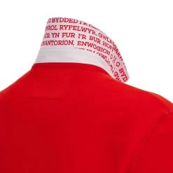 MACRON Wales Mens Classic Home Rugby Shirt - Short Sleeve 2024 -Rugby Apparel 58569144 04