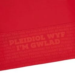 MACRON Wales Toddlers Home Rugby Shirt - Short Sleeve 2024 -Rugby Apparel 58569148 05