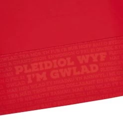 MACRON Wales Babies Home Rugby Shirt - Short Sleeve 2024 12 MACRON Wales Babies Home Rugby Shirt - Short Sleeve 2024 -Rugby Apparel 58569149 05