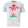 Macron Wales Mens Feathers T-Shirt - Grey 2 Macron Wales Mens Feathers T-Shirt - Grey -Rugby Apparel wal m feather tee gry front v21