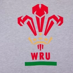 Macron Wales Mens Feathers T-Shirt - Grey -Rugby Apparel wal m feather tee gry print detail